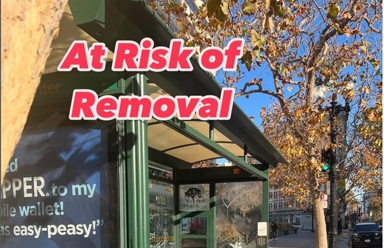 A bus shelter with an ad for Clipper Card on the left and a person sitting on a bench waiting for the bus